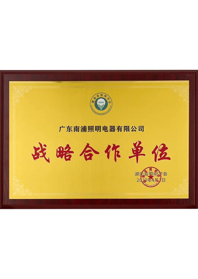 2023 Hunan Illuminating Engineering Society-Strategic Cooperation Unit