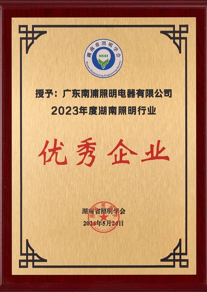 2023 Outstanding Enterprise in Hunan Lighting Industry
