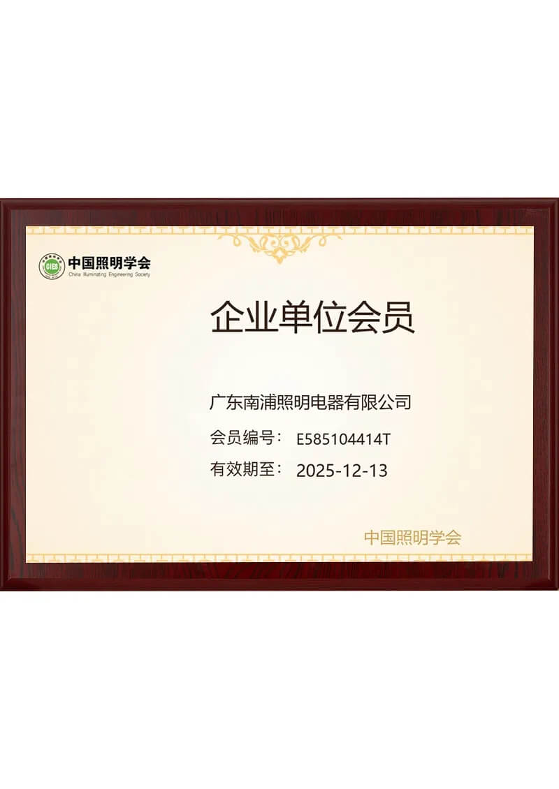 The 3rd Tianfu Lighting-Golden Panda Award-Excellent Product Award-HLS-5016-HIPO Lighting