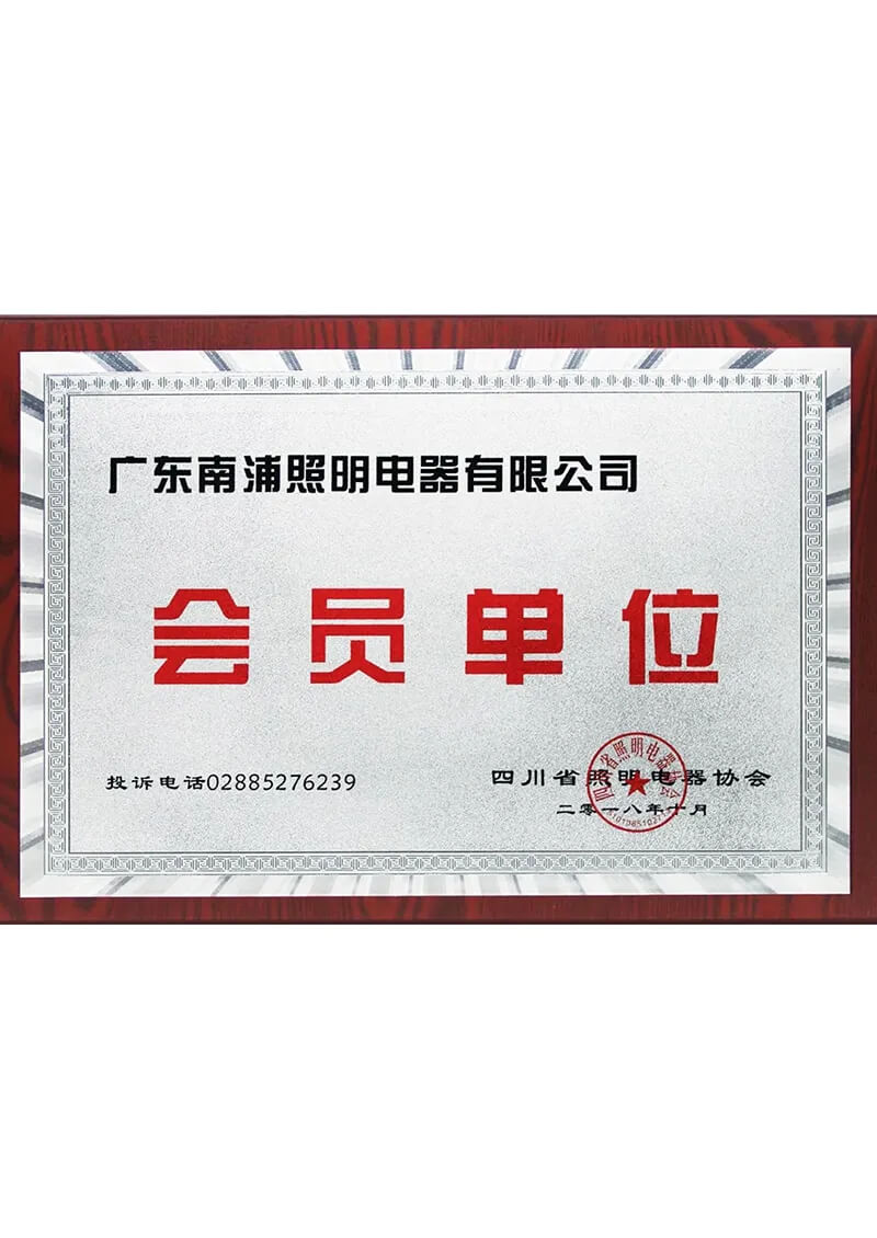 The 3rd Tianfu Lighting-Golden Panda Award-Excellent Partner