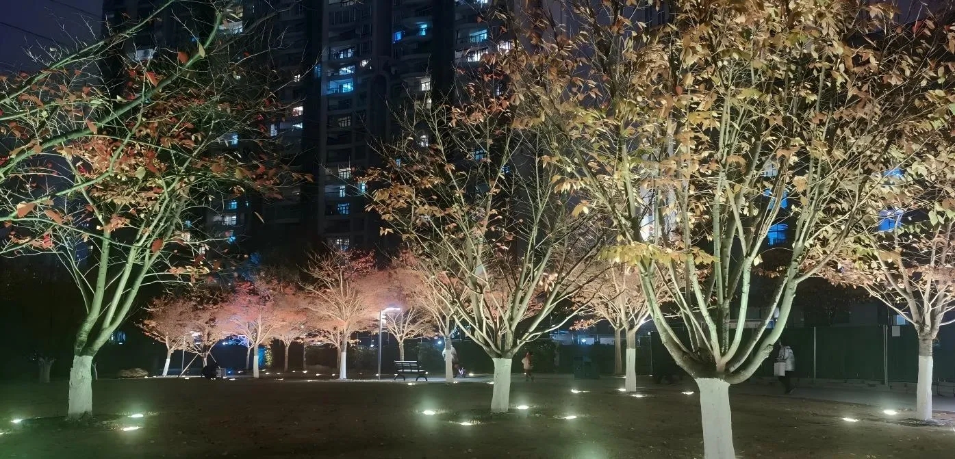 Cherry Blossom Forest Landscape Lighting Project: Ambience Boost with Tree Lights