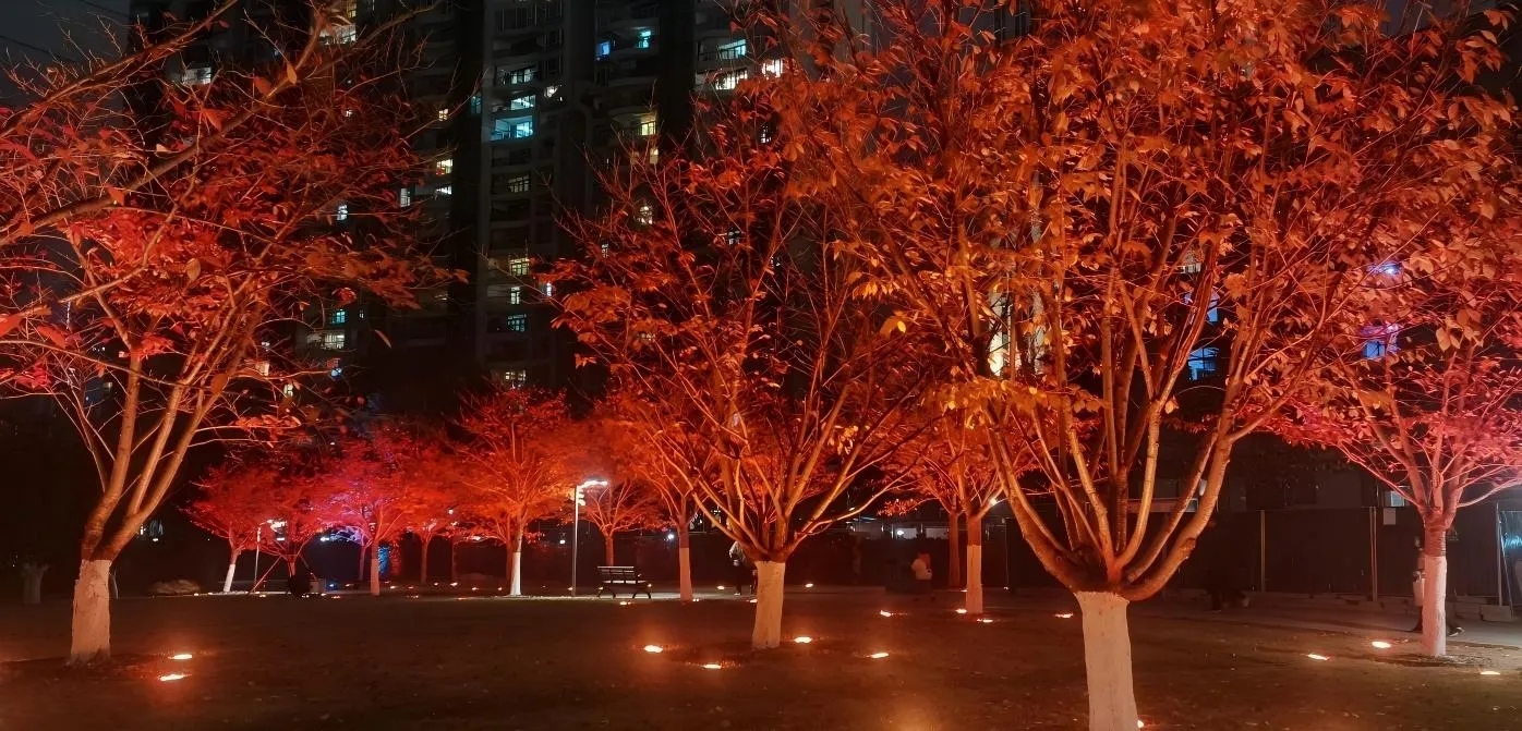 Wuhan Huangxiaohe West Road Cherry Blossom Forest Landscape Lighting Project4