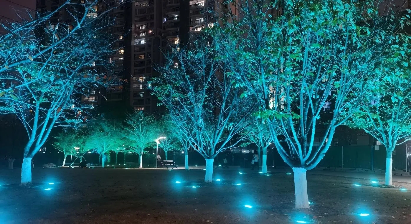 Wuhan Huangxiaohe West Road Cherry Blossom Forest Landscape Lighting Project3