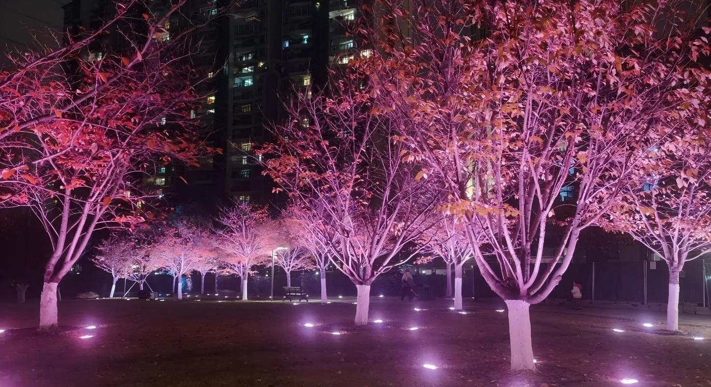 Wuhan Huangxiaohe West Road Cherry Blossom Forest Landscape Lighting Project2