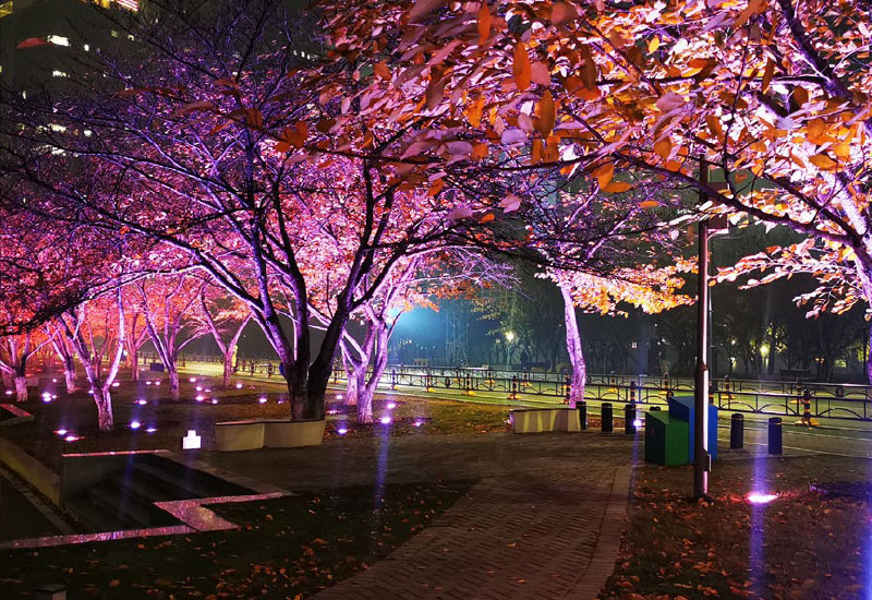 Urban Parks Public Landscapes
