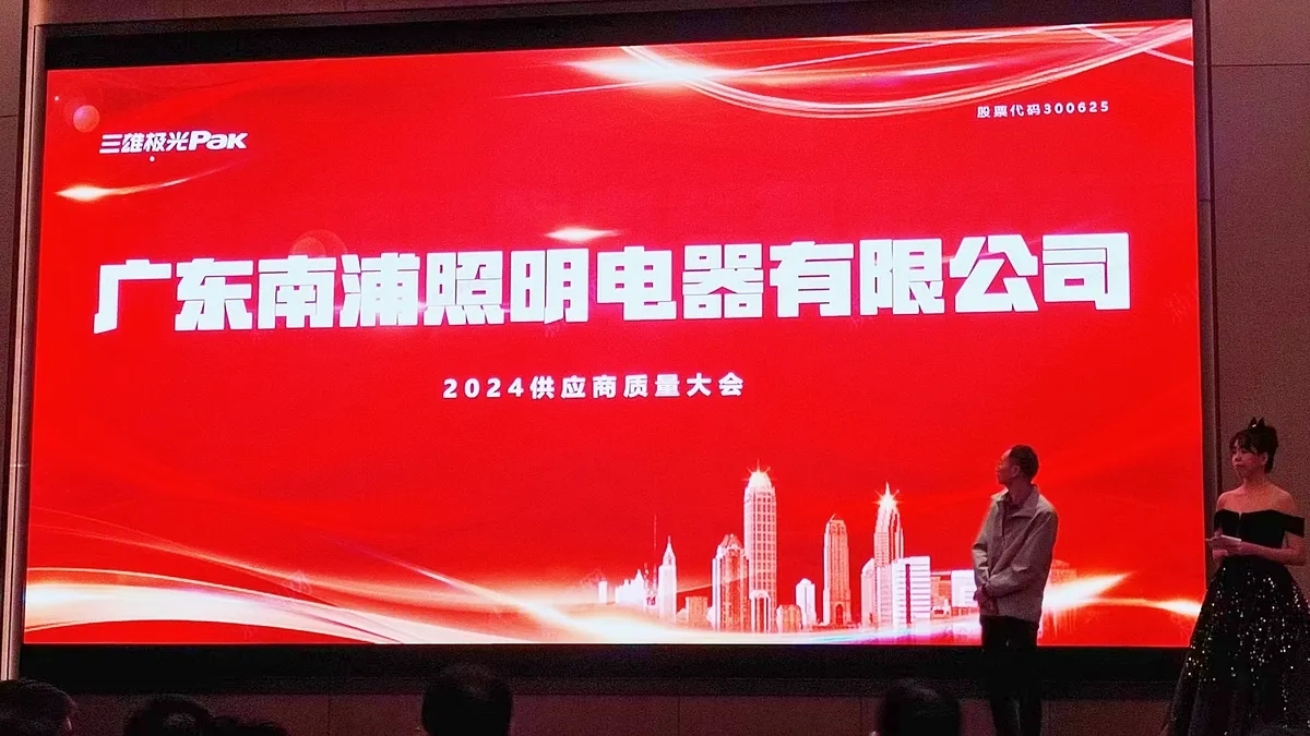HIPO Lighting Wins the 2024 ODM Quality Excellence Award.jpg