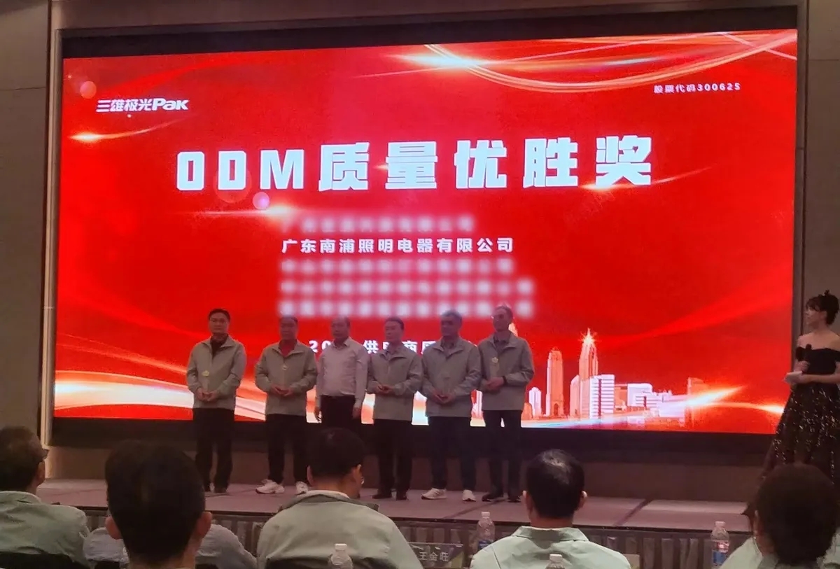 HIPO Lighting Wins the 2024 ODM Quality Excellence Award2.jpg